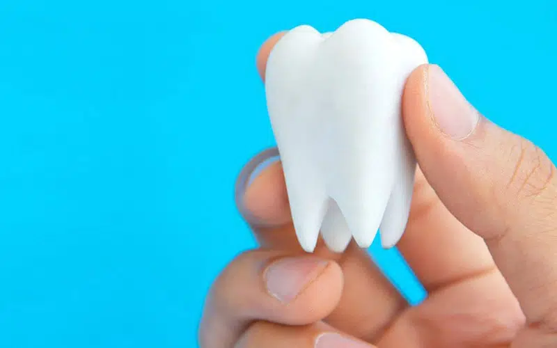 tooth image 2 tooth image 2